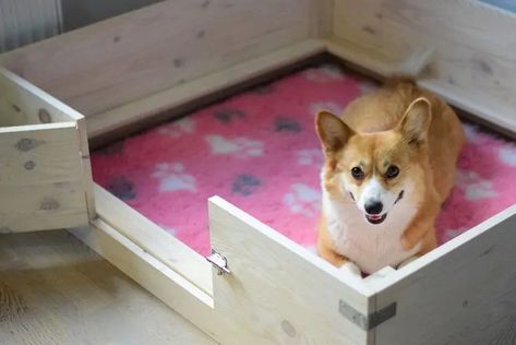 7 Free DIY Whelping Box Plans And Ideas (With Pictures) Whelping Box Ideas, Dog Whelping, Dog Whelping Box, Whelping Box, Newborn Puppies, Pregnant Dog, Corgi Pembroke, Homemade Cat, Best Dog Training