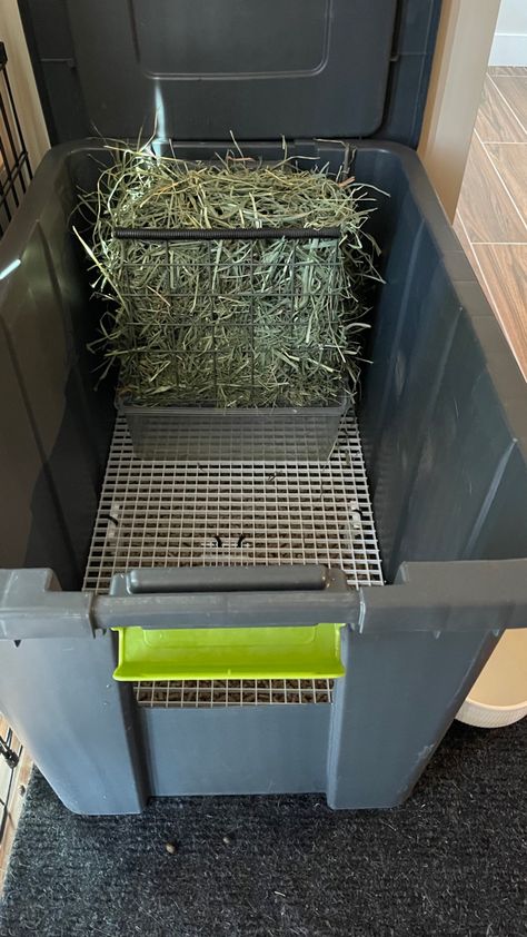 Diy Rabbit Litter Box And Hay Feeder, Rabbit Litter Box Ideas, Bunny Litter Box, Rabbit Feeder, Guinea Pig Diy, Rabbit Stuff, Pet Rabbit Care, Rabbit Litter Box, Bunny Hutch