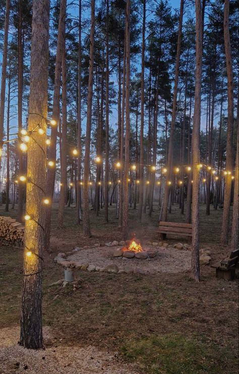 Backyard Party Fire Pit, Forest With String Lights, Forest With Fairy Lights, Forest Themed Birthday Party Decorations, Birthday Party In The Woods, Night Festival Aesthetic, Fairy Lights In Forest, Forest Date Aesthetic, Bonfire Set Up Ideas