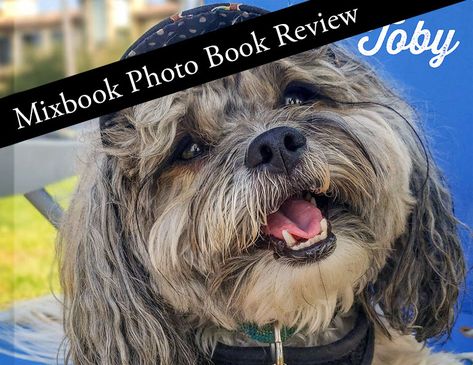 Book Album Ideas, Photo Album Ideas, Sweet Dog, Album Ideas, Dog Books, Dog Photo, Custom Book, Pet Photo, Sweet Dogs