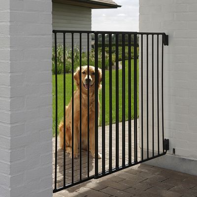 Gato Munchkin, Dog Barrier, Pet Barrier, Dog Gate, Pet Gate, Dog Fence, Dog Door, Door Makeover, Unique Doors