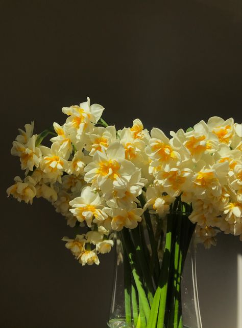 Tuberose Perfume, Summer 2024, Vase, Yellow, Flowers, White