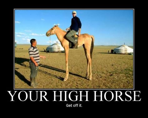 Your High Horse - Get Off It. If you liked this joke, check out more horse jokes at our site: http://humoropedia.com/horse/ #horsejokes #humor #funnyjokes #funnypictures Memes For Texting, Horse Puns, Horse Meme, Horse Jokes, Horse Memes, Fish Fingers, Miss Priss, Teen Witch, High Horse