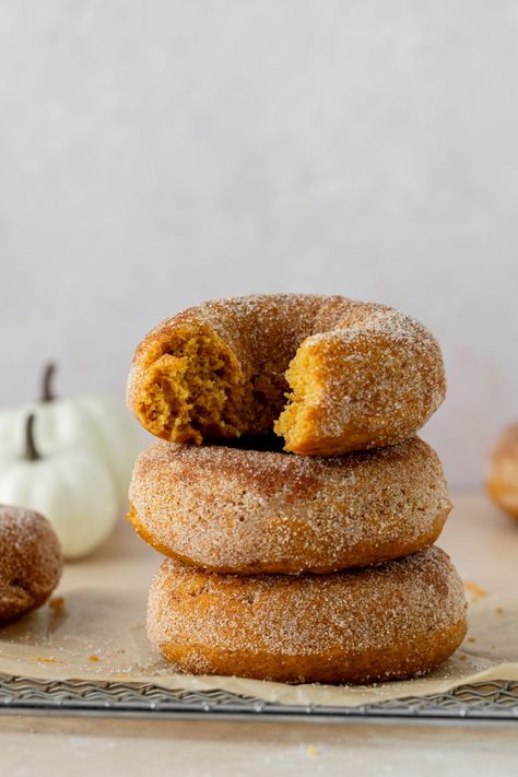 Cinnamon Sugar Pumpkin Donuts - Ginger Snaps Baking Affairs Pumpkin Doughnuts Baked, Pumpkin Donuts Baked, Pumpkin Donuts Recipe, Pumpkin Doughnut, Pumpkin Oats, Pumpkin Cinnamon Rolls, Sugar Donut, Baking Basics, Sugar Pumpkin