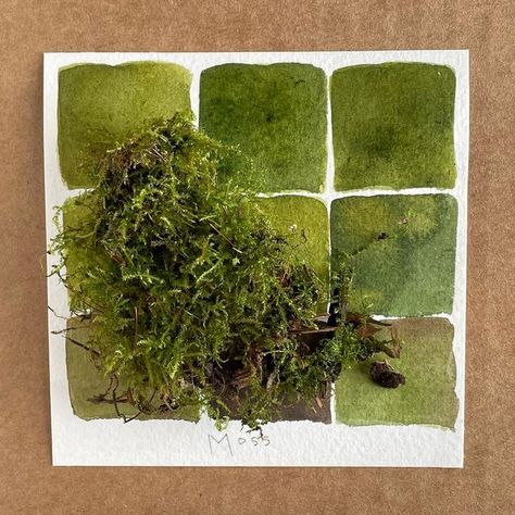 Watercolor Moss, Moss Drawing, Moss Logo, The Emerald City, Color Mood, Evergreen State, Watercolor Mixing, Paint Cards, Emerald City