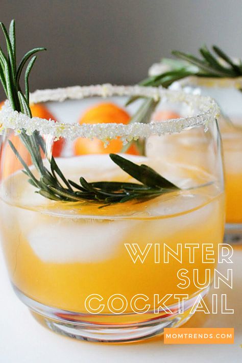 Simple Vodka Cocktails, Holiday Vodka Cocktails, Vodka Recipes Easy, Winter Vodka Cocktails, Easy Winter Cocktails, Vodka Day, National Vodka Day, Best Vodka Cocktails, Red Sangria Recipes