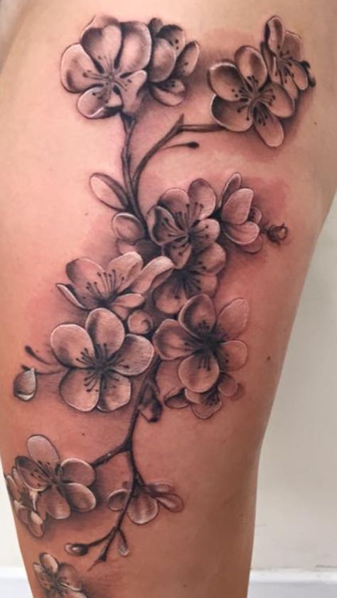 My cherry blossom tattoo in black and grey, on my left thigh. Absolutely love it! Black And Grey Tattoos Flowers, Black And Grey Cherry Blossom Tattoo, Black And White Cherry Blossom Tattoo, Cherry Blossom Tattoo Black And White, Cherry Blossom Sleeve Tattoo, Tree Tattoo Black, White Flower Tattoos, Black And White Flower Tattoo, Blossom Tree Tattoo