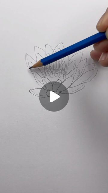 How To Draw Lotus, How To Draw A Lotus Flower, How To Draw Lotus Flower, Lotus Drawing Art, Lotus Flower Tutorial, Draw Lotus Flower, Draw A Lotus Flower, Water Sketch, Lotus Flower Drawing