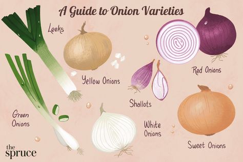 Do You Know These 7 Different Types of Onions? Types Of Onions, Onion Leeks, Chopped Carrots, Onion Recipes, White Onion, Spring Onion, Vegetable Sides, Fat Burning Drinks, Sweet Onion