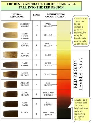 The Haircolor Expert: Formulation Secrets for Red Haircolor Levels Of Hair Color, Hair Color Wheel, Hair Chart, Hair Levels, Hair Science, Yellow Blonde, Redken Hair Products, Hair Color Formulas, Hair Color Chart