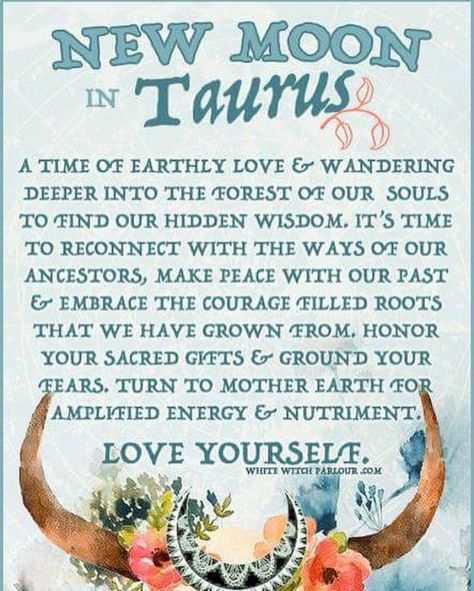 * New Moon in Taurus May New Moon 2024, Taurus New Moon Ritual, New Moon In Taurus 2024, Taurus New Moon, Taurus Journal, Hilarious Animal Memes, Moon Taurus, New Moon In Taurus, Pagan Moon