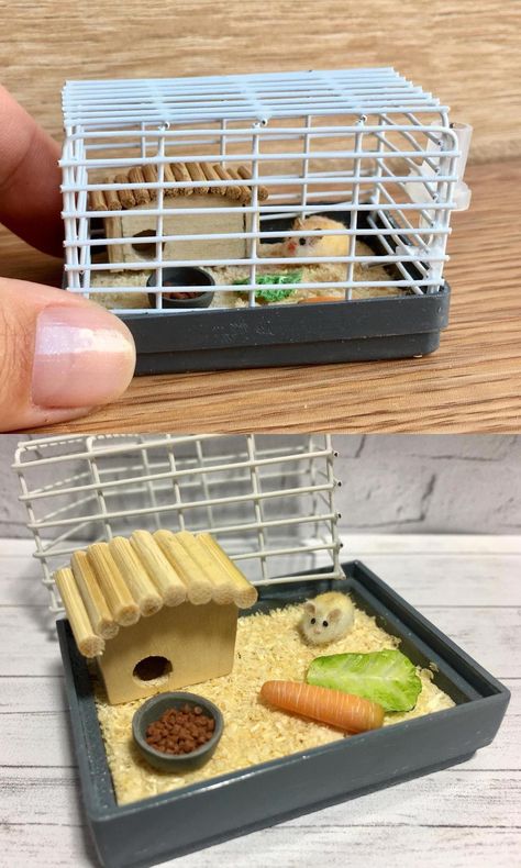 1500×2500: MiniDollHouseArt | https://www.etsy.com/listing/619502895/cage-with-hamster-miniature-for-dolls?ref=shop_home_active_38&pro=1&frs=1&epik=dj0yJnU9S2FWTk05YWd2SlRLYW9FVWtNWU16WE1weHlWX3VzNzcmcD0wJm49YWRxc1hONUdnZ3JNMXB5NXpjRHkyZyZ0PUFBQUFBRi1ZZUFJ Hamster Accessories, Lps Accessories, Hamster House, Fake Animals, Hamster Cage, Little Duck, Miniature Houses, Mini Things, Miniature House