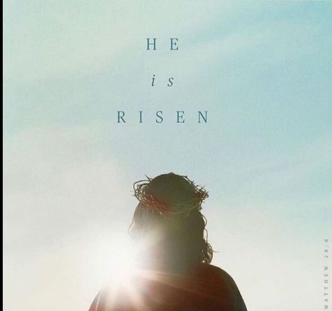 He Is Risen Quotes, Easter Images Jesus, Photo Display Board, Rise Quotes, Encouragement Quotes Christian, Jesus Is Risen, Jesus Is Alive, He Has Risen, He Is Alive