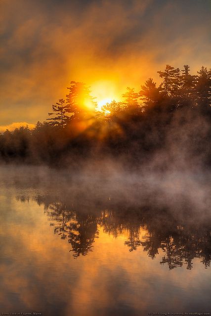 If HOPE AND DREAMS could be painted into a picture, this morning light chasing off dark would be fitting art! #DDO:) MOST POPULAR RE-PINS - http://www.pinterest.com/DianaDeeOsborne/hope-and-dreams/ - As the orange sun rises behind the hills, its reflection on the still lake waters, the foggy mist rises. Another sunrise, another Day for Hope dispelling the darkness of night. Also on my SKYLIGHTS board, full of sunrise and sunset photos. Free SONGS of hope, comfort at  www.DianaDeeOsborneSongs.com Echo Lake, Foto Tips, Beautiful Sunrise, Beautiful Sky, Beautiful Sunset, Amazing Nature, Sunrise Sunset, Beautiful World, Beautiful Landscapes