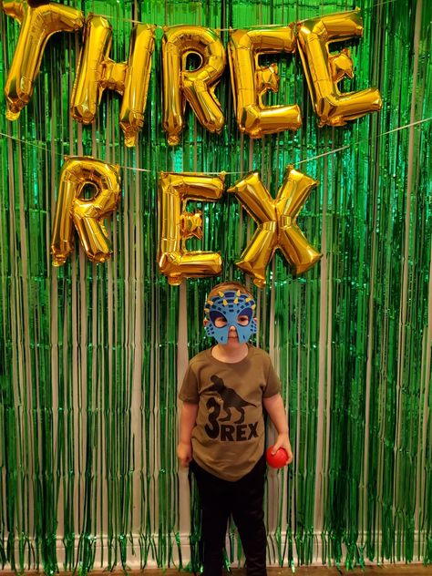 Three Rex Birthday Shirt, Third Birthday Boy, Three Rex Birthday, Jurassic Park Birthday Party, Park Birthday Party, Jurassic Park Birthday, Dinosaur Birthday Party Decorations, 3 Birthday, Park Birthday