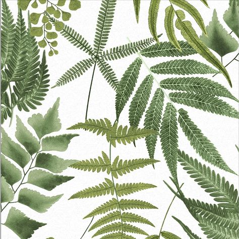 Sample Midsummer Wallpaper in Lush from the Exclusives Collection by G – BURKE DECOR Print Repeat, Fern Wallpaper, Fern Pattern, Repeat Prints, Graham & Brown, Botanical Wallpaper, Brown Wallpaper, Wallpaper Calculator, Modern Wallpaper