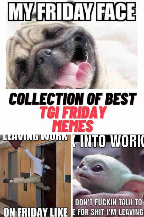 Friday Memes #Friday #ThankGodItsFriday #FridayFunnies #FridayMemes #memes #funny It’s Friday Meme, Funny Friday Work Humor, Funny Friday Memes Hilarious, Funny Friday Humor Hilarious Mornings, Friday Humor Hilarious Finally, Friday Humor Hilarious Laughing, Friday Motivation Funny, Finally Friday Humor, It’s Friday Funny