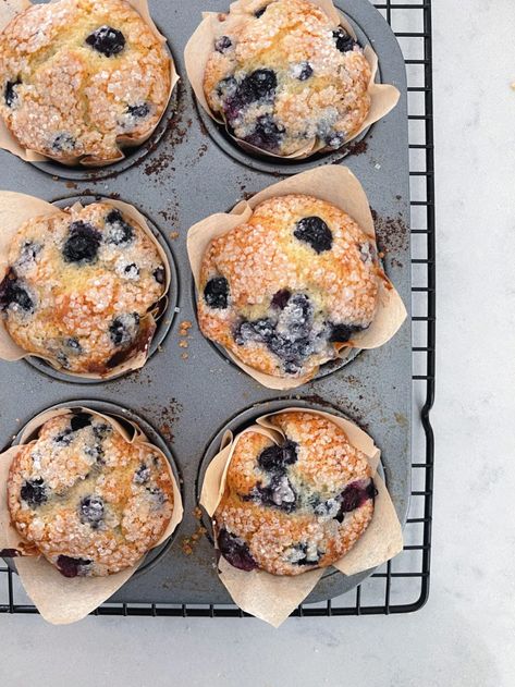 Jumbo Blueberry Muffins, Jordan Marsh Blueberry Muffins, Moist Blueberry Muffins, Blueberry Muffin Topping, The Best Blueberry Muffins, Bakery Style Blueberry Muffins, Homemade Blueberry Muffins, Best Blueberry Muffins, Jumbo Muffins