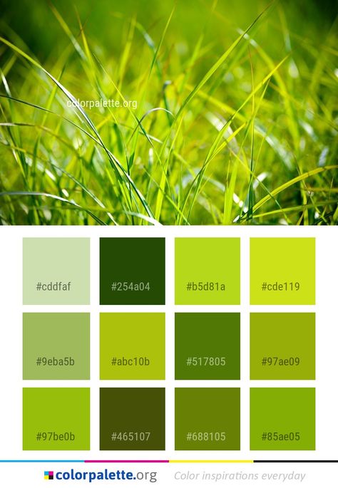 Grass Color Palette, Graphics Design Inspiration, Colors Inspiration, Website Design Layout, Green Colour Palette, Grass Green, Green Grass, Color Pallets, Macro Photography