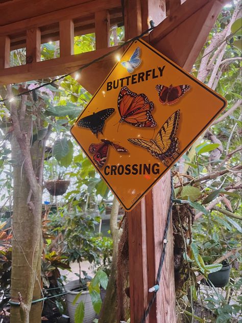 Conservatory Aesthetic, Butterfly Conservatory, Butterfly Project, Butterfly Room, Butterfly House, Nature Center, Spring Vibes, Future Plans, Future Life