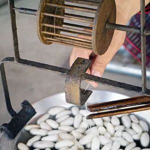 Reeling of Silk Silkworm Cocoon, Silk Production, Weaving Loom Diy, Yarn Hanging, Yarn Organization, Mulberry Leaf, Willow Weaving, Silk Weaving, Thai Silk