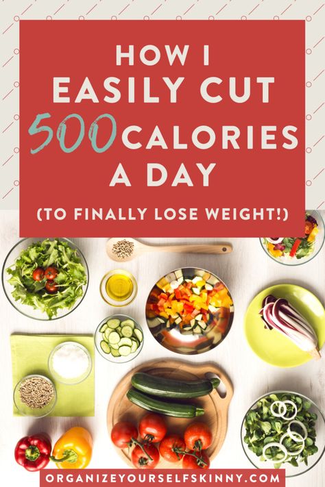 How I easily cut 500 calories a day! - Organize Yourself Skinny Eating Healthy For Beginners, 500 Calorie Meal Plan, Healthy For Beginners, 500 Calories Recipes, 500 Calories A Day, Start Eating Healthy, 500 Calorie Meals, Weights For Beginners, 500 Calorie