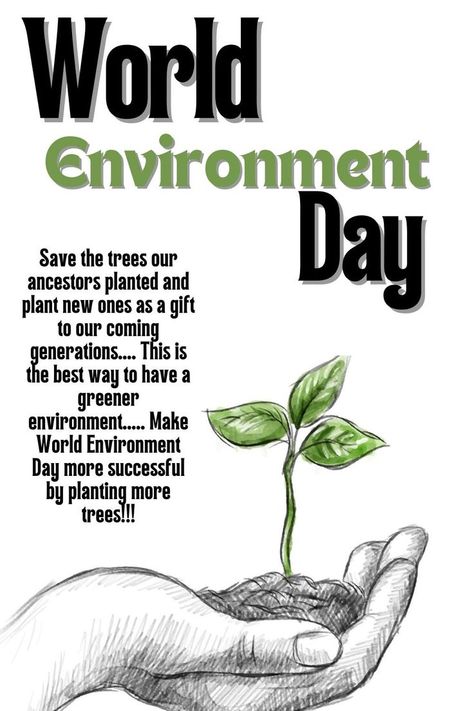 World Environment Day! Environment Day Poster, Corruption Poster, Save Environment Posters, Environment Day Quotes, World Environment Day Posters, Sustainable Development Projects, Earth World, Earth Drawings, Save Environment