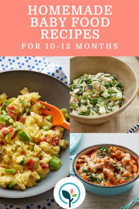 Homemade Baby Food Recipes For 10-12 Months 10 Month Old Food, 10 Months Baby Food, 10 Month Old Baby Food, 12 Month Baby Food, Baby Purees, Baby Meal Plan, Homemade Baby Food Recipes, Puree Recipes, Baby Lunch