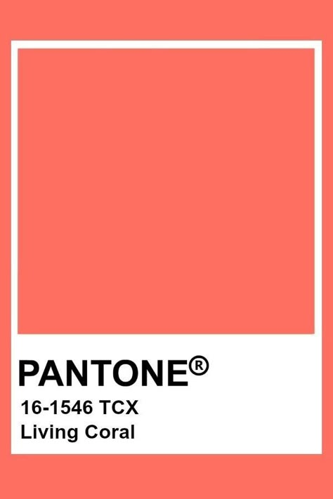 Living Coral Pantone, Tcx Pantone, Coral Pantone, Pantone Tcx, Pantone Red, Coral Shades, Pantone Color Chart, Pantone Swatches, Hexadecimal Color