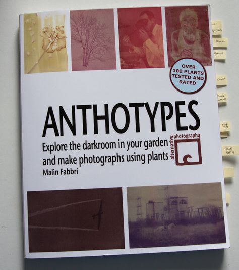 Anthotype Diy, Anthotype Photography, Levitation Photography, Sun Prints, Double Exposure Photography, Alternative Photography, Botanical Dyeing, Experimental Photography, Water Photography