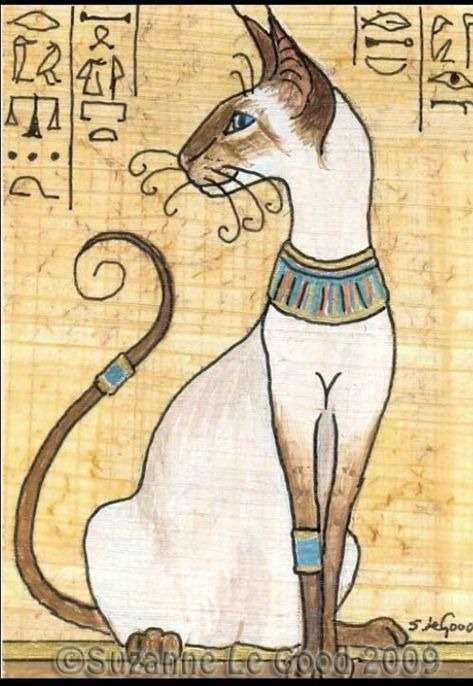 Sphynx Cat Drawing, Egyptian Sphynx Cat, Egypt Cat, Egyptian Papyrus, Starověký Egypt, Egyptian Cats, Egyptian Cat, Cat Art Illustration, Luxury Cat