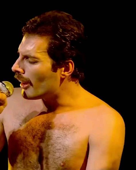 Don't Leave Me, Freddy Mercury, Instagram Queen, Sweet Lover, Queen Love, Dont Leave Me, Queen Freddie Mercury, Queen Pictures, John Deacon