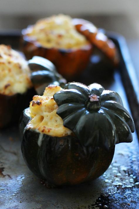 Stuffed Squash, Cheddar Mac And Cheese, Stuffed Acorn Squash, Acorn Squash Recipes, Fall Comfort Food, Cheese Stuffed, Acorn Squash, White Cheddar, Squash Recipes