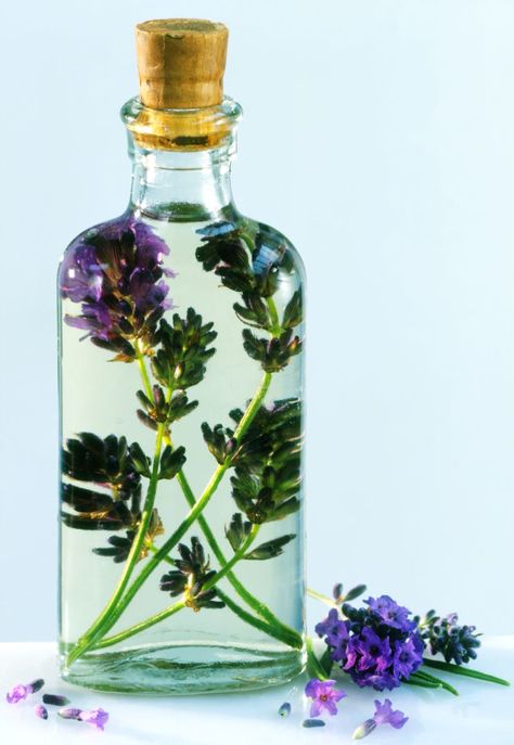 lavender essential oil: you can make people trust you with this scent, study says Acne Redness, Allergy Remedies, Essential Oils For Skin, Lovely Lavender, Scarring, Lavender Oil, Oils For Skin, Purple Flower, Atlantis