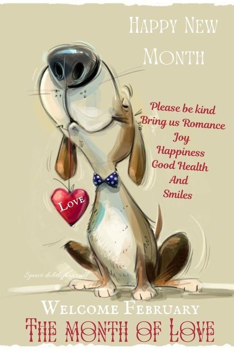 February New Month Quotes, February Images, Welcome February, February Quotes, Welcome Gif, Month Of Love, Happy New Month, Days And Months, Season's Greetings