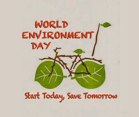 Environment Day Slogans, Slogan On Save Environment, World Environment Day Slogans, Save Environment Posters, Environment Day Quotes, Happy Environment Day, World Environment Day Posters, Earth Drawings, Peace Poster