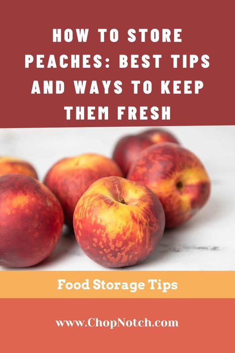 A juicy, delicious fruit that needs no introduction, fresh peaches are always popular. Their soft, juicy flesh and delicate, fuzzy skin make them a real treat and there are plenty of dishes you can make with this fruit. But Do You Know How To Store Peaches? Discover Here Best Tips And Ways To Keep Them Fresh! #Peaches #FoodStorage #PeachesStorage How To Store Fresh Peaches, How To Keep Peaches Fresh Longer, Storing Peaches, How To Store Peaches, Freeze Fruit, Freezing Peaches, Fast Easy Desserts, Canning Peaches, Peach Preserves