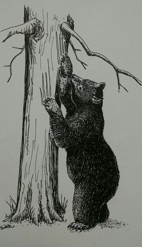 Black Bear Cartoon, Black Bear Tattoos, Black Bear Aesthetic, Black Bear Drawing, Black Bear Tattoo, Malayan Sun Bear, Forest Sketch, Black Bears Art, Thailand Tattoo