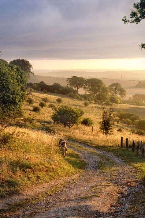 Scotland Nature, England Aesthetic, England Countryside, Scottish Countryside, Countryside Cottage, Landscape Photography Nature, Country Side, Autumn Scenery, The Cotswolds