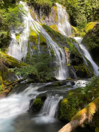 Panther Creek Falls Trail 137, Gifford Pinchot National Forest, Carson, Washington, United States of America | AllTrails.com Gifford Pinchot National Forest, Viewing Platform, Wind River, Honeymoon Spots, River Road, Travel Board, Parking Lot, National Forest, Washington State