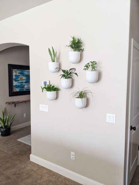 Indoor Plant Wall - Modern Boho Planter Pots - The DIY Lighthouse Stairwell Plant Ideas, How To Decorate Hallway Walls, Big Wall Decor Ideas, Staircase Walls, Wall Plants Indoor, Diy Planters Indoor, Diy Lighthouse, Toronto Apartment, Big Blank Wall