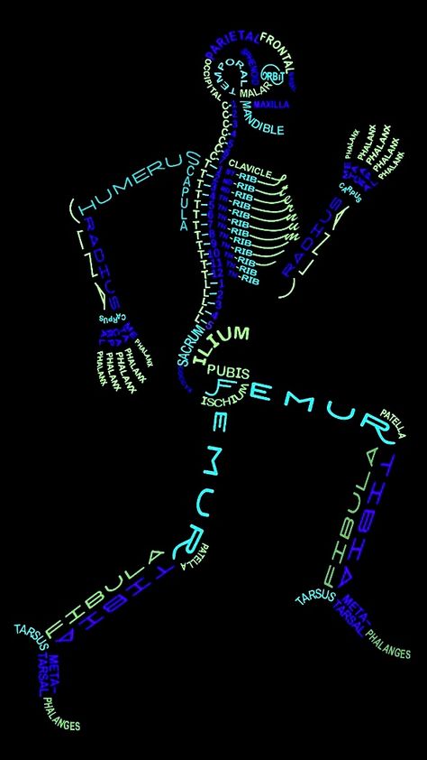 Anatomy Screensaver, Radiology Student Wallpaper, Physiotherapy Wallpaper, Hospital Poster, Med Wallpaper, Human Skeletal System, Ram Sita Photo, Radiology Student, Anatomy Bones