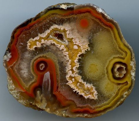 Coyamito Agate, Agate Rocks, Rock Minerals, Beautiful Stones, Cool Rocks, Crystal Geode, Mineral Stone, Minerals And Gemstones, Rocks And Gems