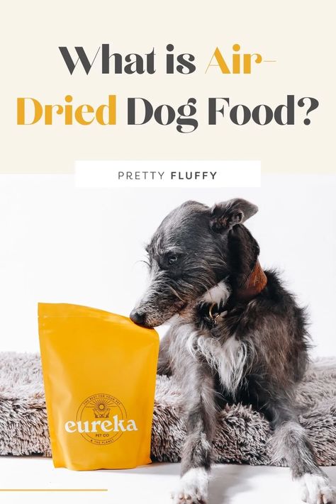 If you're concerned about your dog's diet, consider switching to air dried dog food. Learn all the benefits and how it's made here! #dogfood #airdrieddogfood #healthey dogfood Living With Dogs, Healthy Choice, Dog Diet, Dog Health Care, Food Help, Super Healthy, Flea And Tick, Dry Dog Food, Bed Ideas