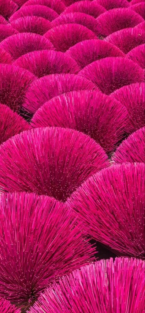 Shades Of Pink Names, Fuschia Pink Color, Unusual Wallpaper, Rose Fushia, Color Vibe, Cerise Pink, Bright Winter, Color Magenta, Pink Vibes