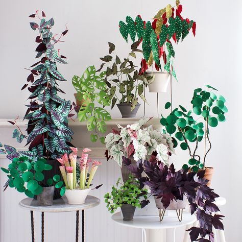 Indoor Crafts, 13 November, Chinese Money Plant, Paper Plants, Handmade Plant, Paper Leaves, Can Crafts, Pink Paper, Diy Plants