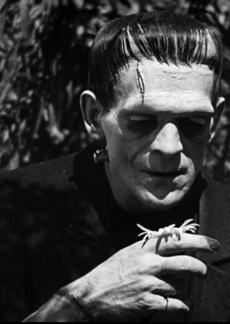 Frankie Boris Karloff Frankenstein, Frankenstein 1931, Hollywood Monsters, Universal Studios Monsters, The Modern Prometheus, Frankenstein Art, Boris Karloff, Lubbock Texas, Famous Monsters