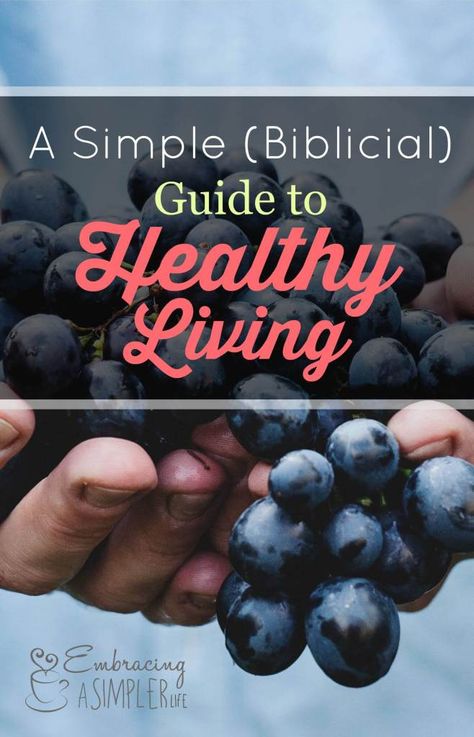 a simple biblical guide to healthy living Biblical Diet, Bible Diet, Family Eating, Healthy Living Tips, Simple Life, Get Healthy, This Moment, Health Benefits, Healthy Life