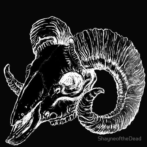 Ram Skull Art, Ram Horns Drawing Reference, Sheep Skull Drawing, Ram Skull Side View, Ram Skull Drawing, Goat Skull Art, Skull Open Mouth, Ram Skull Tattoo, Ram Art