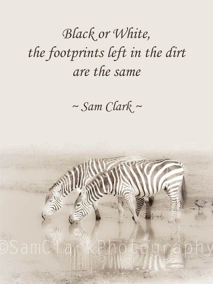 Black or White, the footprints left in the dirt are the same ~ Sam Clark Photography Photography Inspiration Quotes, Africa Quotes, African Quotes, Honey Skin, African Proverb, Proverbs Quotes, Black Pearls, Quote Wall Art, African Wildlife